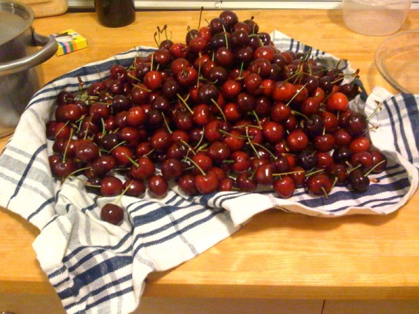 Erin Sanders Okay in all honesty I have about 8 pounds of cherries in 